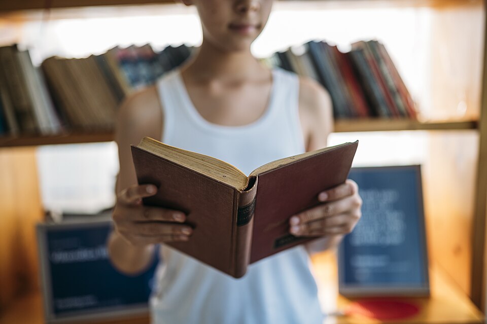 عکس مطالعه کتاب در کتابخانه برای borrow